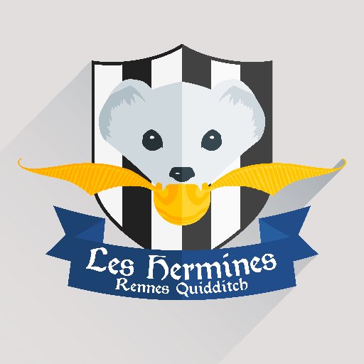 Les Hermines de Rennes (Ermined Roazhon), club rennais de #quidditch. Entraînements le mercredi 19h30-21h aux Gayeulles et parfois le dimanche à la Bellangerais