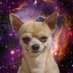 HUR (@houston_u_r) Twitter profile photo HUR (@houston_u_r) Twitter profile photo