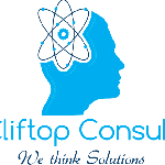 Management & Development Consultancy, Construction, Events, Supplies ..........