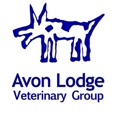 Avon Lodge Vets