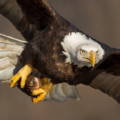 STMarcy's profile picture. I'm a photographer in the Bloomington/Normal area in Central IL.