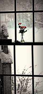 djulic_imer's profile picture. 