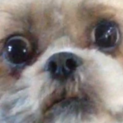 Zombie_Noscoped's profile picture. bo3 candy and happiness and maybe family