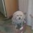 EM_iro's profile image