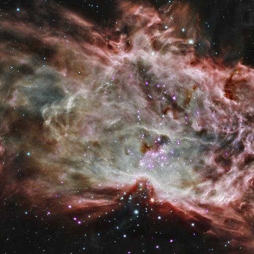 flamenebula_co's profile picture. Custom online marketing strategies