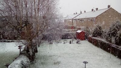 FunkmasterDub's profile picture. 