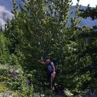 Alana Clason (@alanaclason) 's Twitter Profile Photo Alana Clason (@alanaclason) 's Twitter Profile Photo