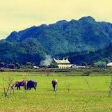 Tentang Minangkabau (@tentang_minang) 's Twitter Profile