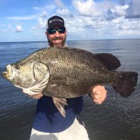 Rob Chapman (@robchapmanfish) 's Twitter Profile