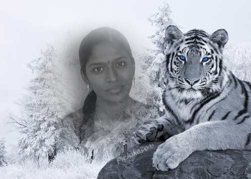 Chithirakodi's profile picture. 