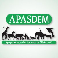 APASDEM, A.C.(@APASDEM) 's Twitter Profileg