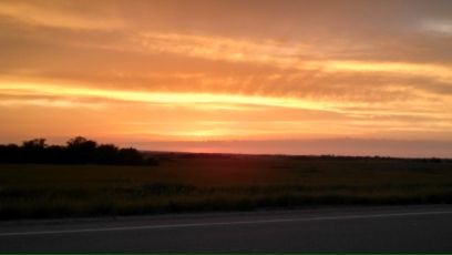 LoraAll's profile picture. 