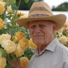 MaxAustin0's profile picture. Hollywood
 and money for you!!! The only business that promotes a topic
 of movie! Watch video: https://t.co/r9eSVHQL0A