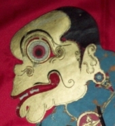 Orbicularis's profile picture. 