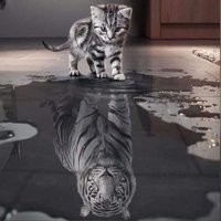 مصطفى الرواحي (@mustafa_al666) 's Twitter Profile
