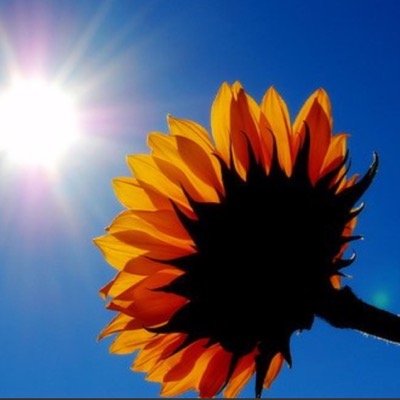 FrancesPaxton's profile picture. 