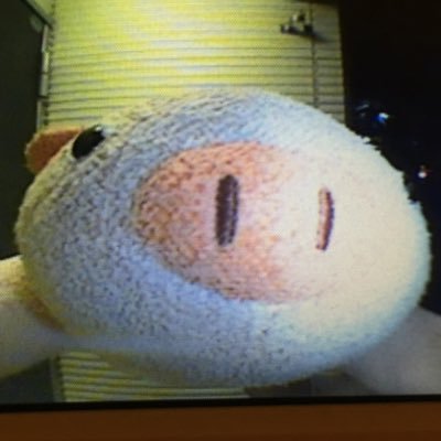 betaro_bot's profile picture. とあるぬいぐるみのbot。ライバルは映画で有名な某テディベアだったけど、最近はとあるアプリのねこ。現在試運転。
