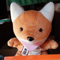 puppy (@puppy_pero) 's Twitter Profile