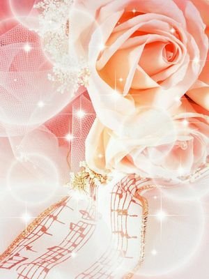 tomo00817's profile picture. 