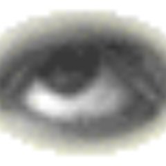 JimOctothorpe's profile picture. 