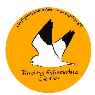 Enthusiastic birder, wildlife lover. Birdwatching guide and Photography from hide. From one of the best places of Europe to birdwatching.