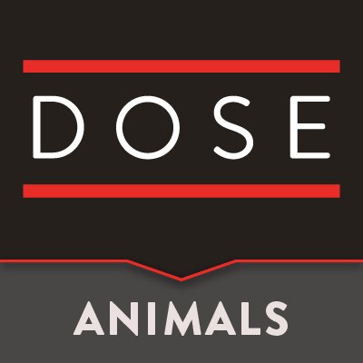 This is an official account of @dose and @OMGFacts.