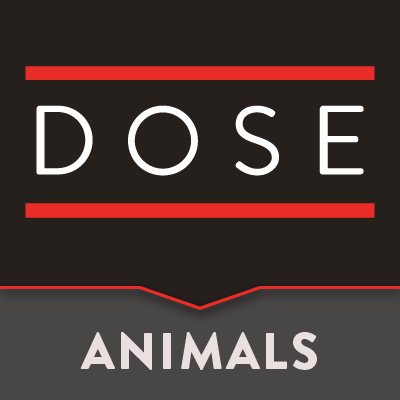 DoseofAnimals Profile Picture