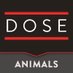 Dose Animals (@DoseofAnimals) Twitter profile photo