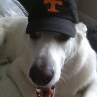 Rob Rexrode, J.D. (@takodasaurus) Twitter profile photo