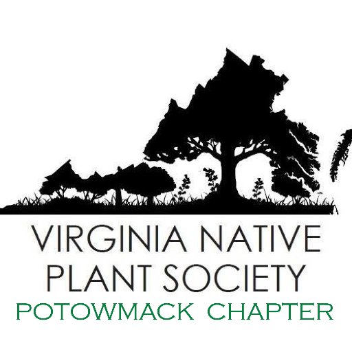 Virginia Native Plant Society, Potowmack Chapter: devoted to education, habitat preservation and encouraging appropriate landscape use of native plants.