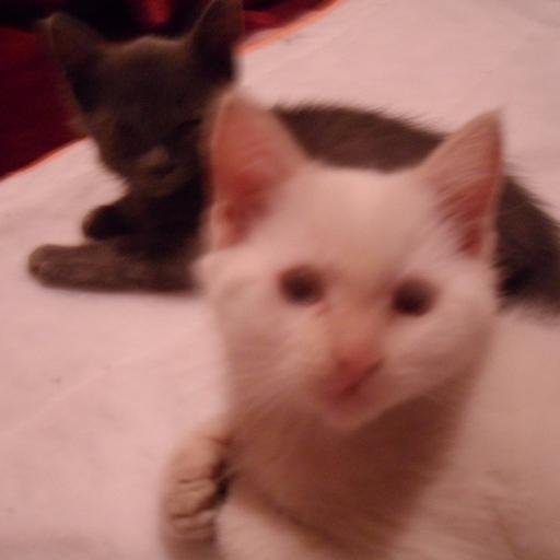 twoonzz's profile picture. actualización periódica del canal