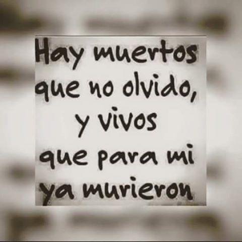 kelvinacolmena1's profile picture. 