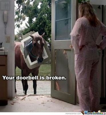 sheddyeddie's profile picture. I'm sheddy eddie and i fucking love sheds!  send me your shed pictures and if your getting messy in one even better. cuz i love falling asleep in random sheds!