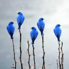 PilarPassan's profile picture. Madre y abuela.
Médica cardióloga.
Confiar en el conocimiento y la razón para distinguir lo verdadero de lo falso en un clima de diálogo y honestidad.