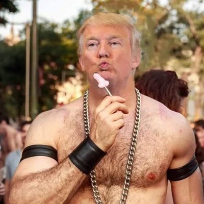 Donald Is Gay 73