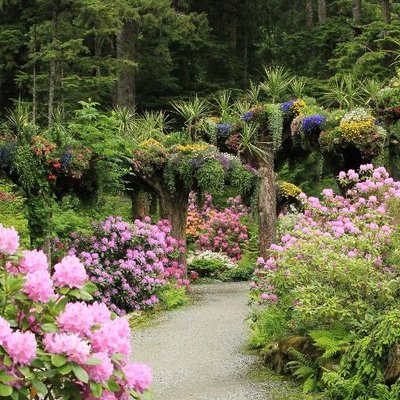 Glacier Gardens On Twitter Juneau In All Its Glory From Our