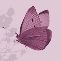 Nuebelle's profile picture. Sensual Fine Art Photo