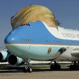 hair force one