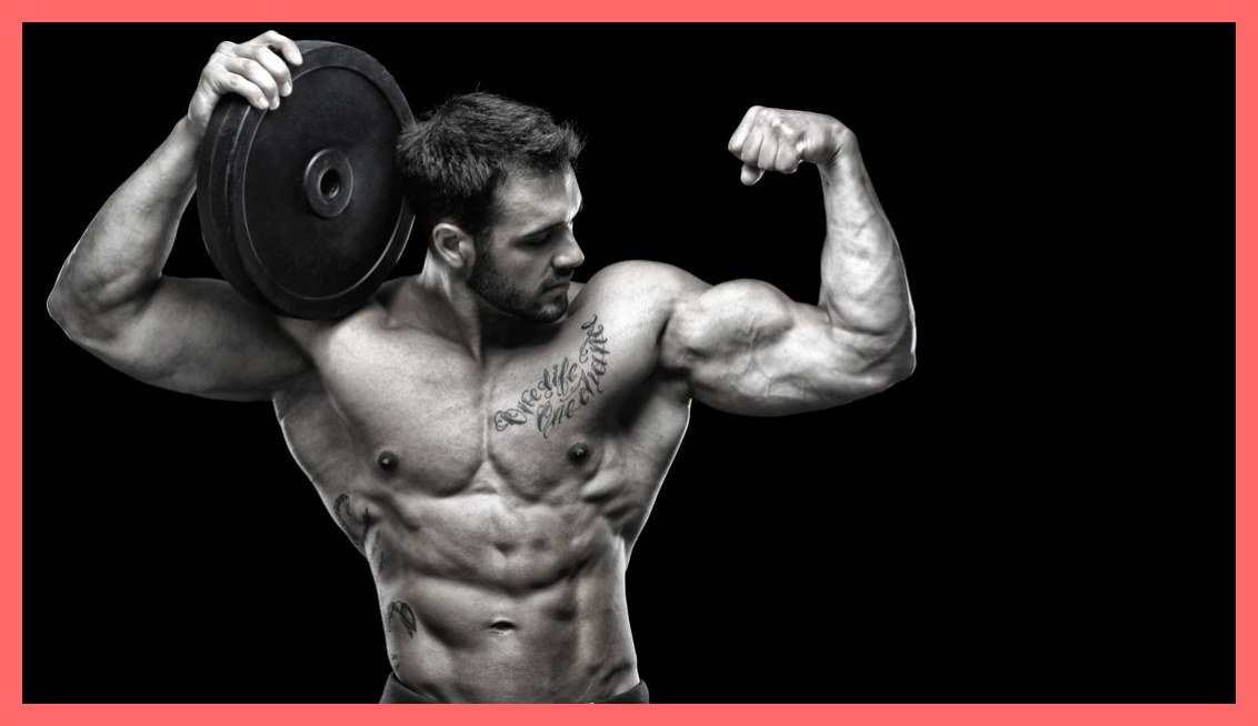 Become the guy who can protect her from vulture males. Get RIPPED and never feel threatened by other men again! Click below for MASSIVE muscles!