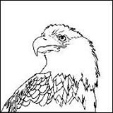 Operations (@southerntiersec) 's Twitter Profile