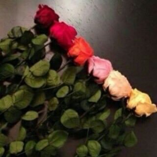 a_somth's profile picture. الحمدلله دائما وابدا