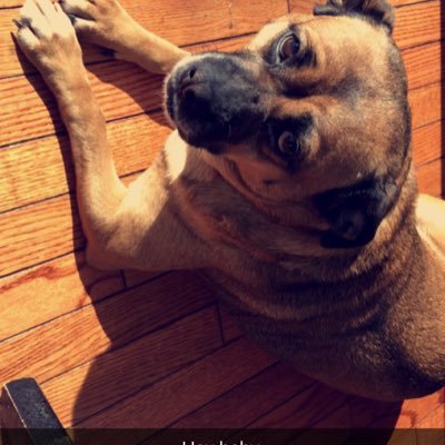 addijayne's profile picture. 