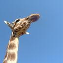 TedMarkus - @TedMarkus - Twitter