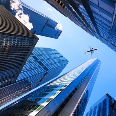 yanezalexis11's profile picture. 