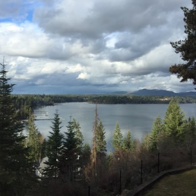 drpaaz_alvarez's profile picture. 