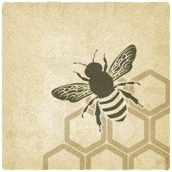 Providing solitary bee houses to residents and groups for little or no cost using primarily reclaiimed materials.