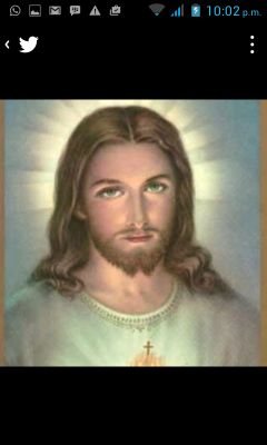 saberioRodrigu1's profile picture. 