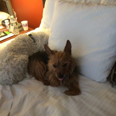 GloriaSantAnna1's profile picture. 