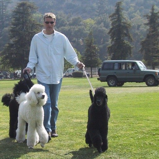 Eco-conscious entrepreneur ❤️ Crypto & AI & time saving marketing tools ➡️ https://t.co/FLryw2sLPR ⬅️ 🇨🇦🇺🇸🌊 🌱🐎 Ambassador @horseslaughter_