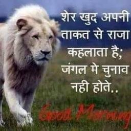 kingofmanpower's profile picture. 